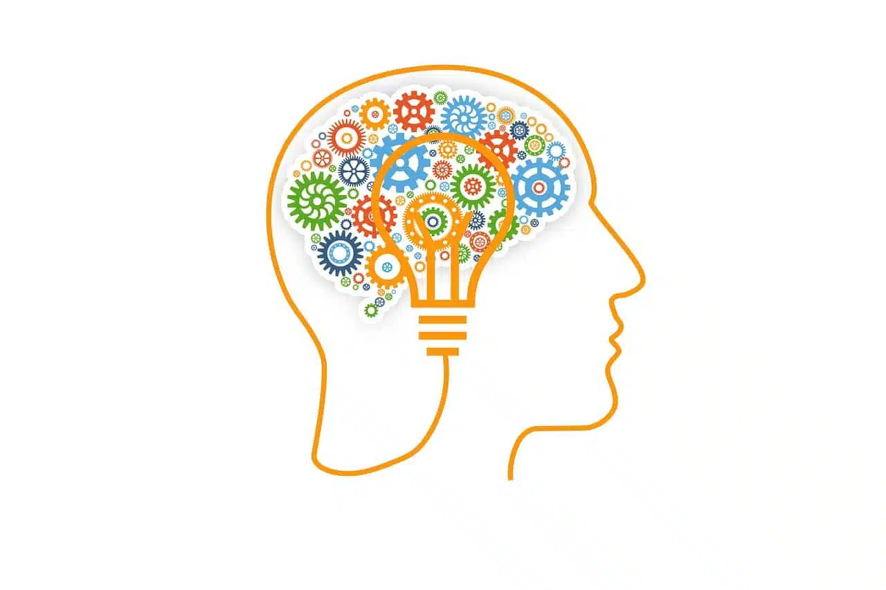 NEUROPSICOPEDAGOGIA
