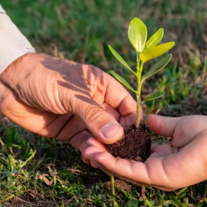 Curso Educação Ambiental e Sustentabilidade